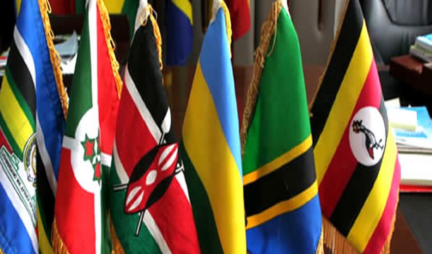 Press Release; East Africa Countries Frustrating the Common  Market Protocol