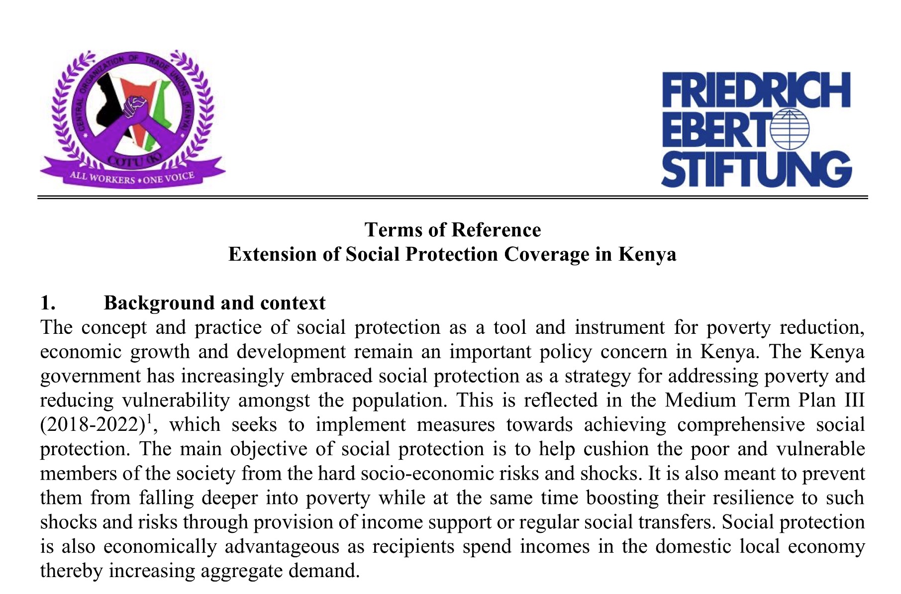 Social Protection TOR